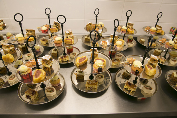 hightea-1
